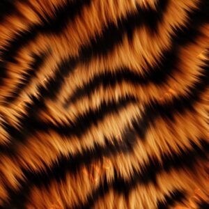 Big Cat Fur 001