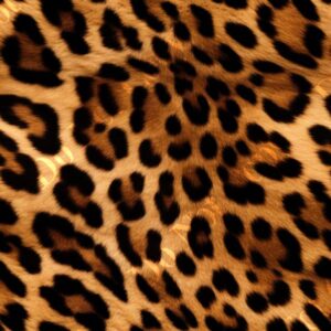 Big Cat Fur 004