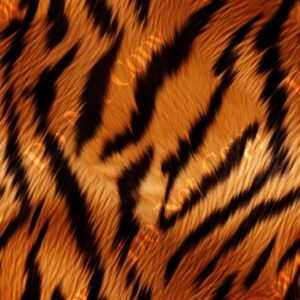 Big Cat Fur 020