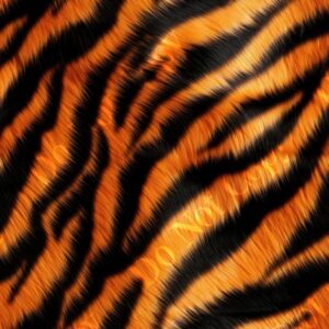 Big Cat Fur 023