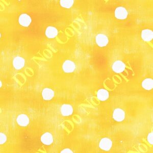 Sunnydays 004