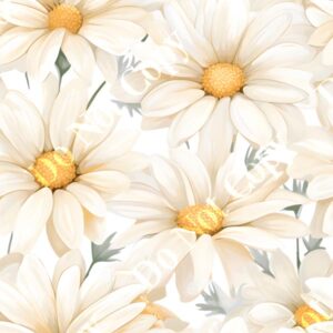 Daisy Cream 002