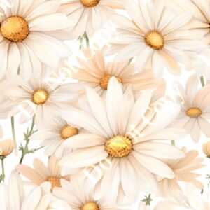 Daisy Cream 003