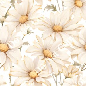 Daisy Cream 004
