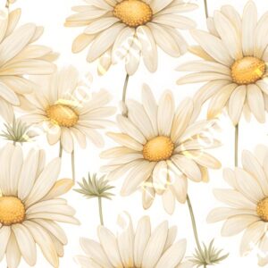 Daisy Cream 006