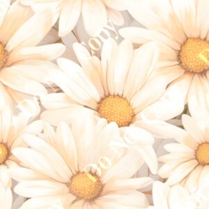 Daisy Cream 007