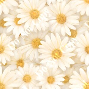 Daisy Cream 008