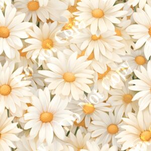 Daisy Cream 011