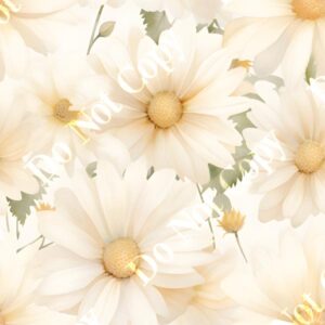 Daisy Cream 012
