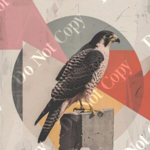 Falcon Postmodern 005