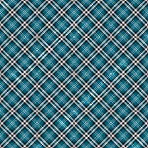 Plaids 019