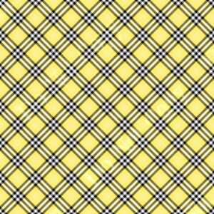 Plaids 044