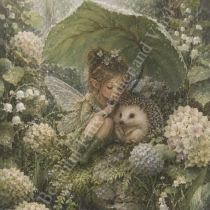 Hedgehog Fairy 002